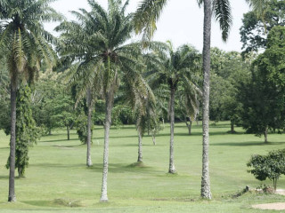 Miccom Golf Hotels And Resort Ada